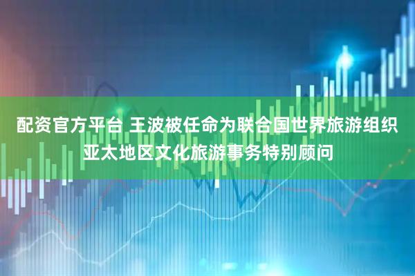 配资官方平台 王波被任命为联合国世界旅游组织亚太地区文化旅游事务特别顾问