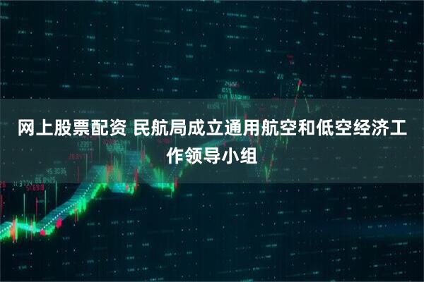网上股票配资 民航局成立通用航空和低空经济工作领导小组